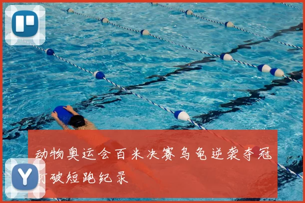 动物奥运会百米决赛乌龟逆袭夺冠打破短跑纪录