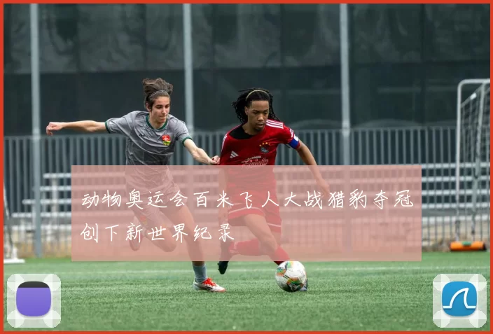 动物奥运会百米飞人大战猎豹夺冠创下新世界纪录